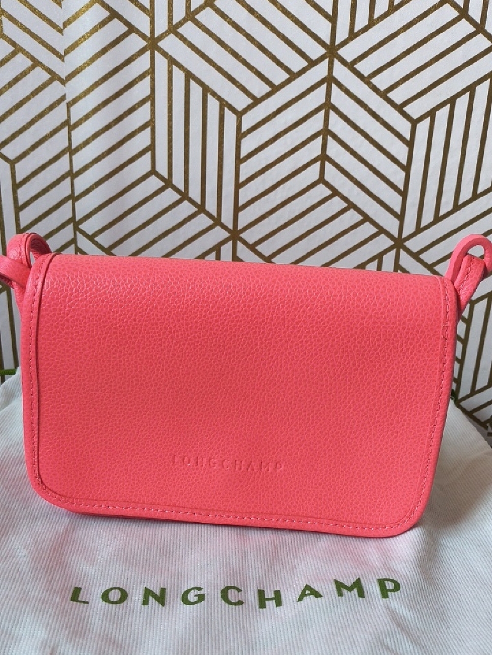Small Longchamp  Pink Leather Crossbody Bag